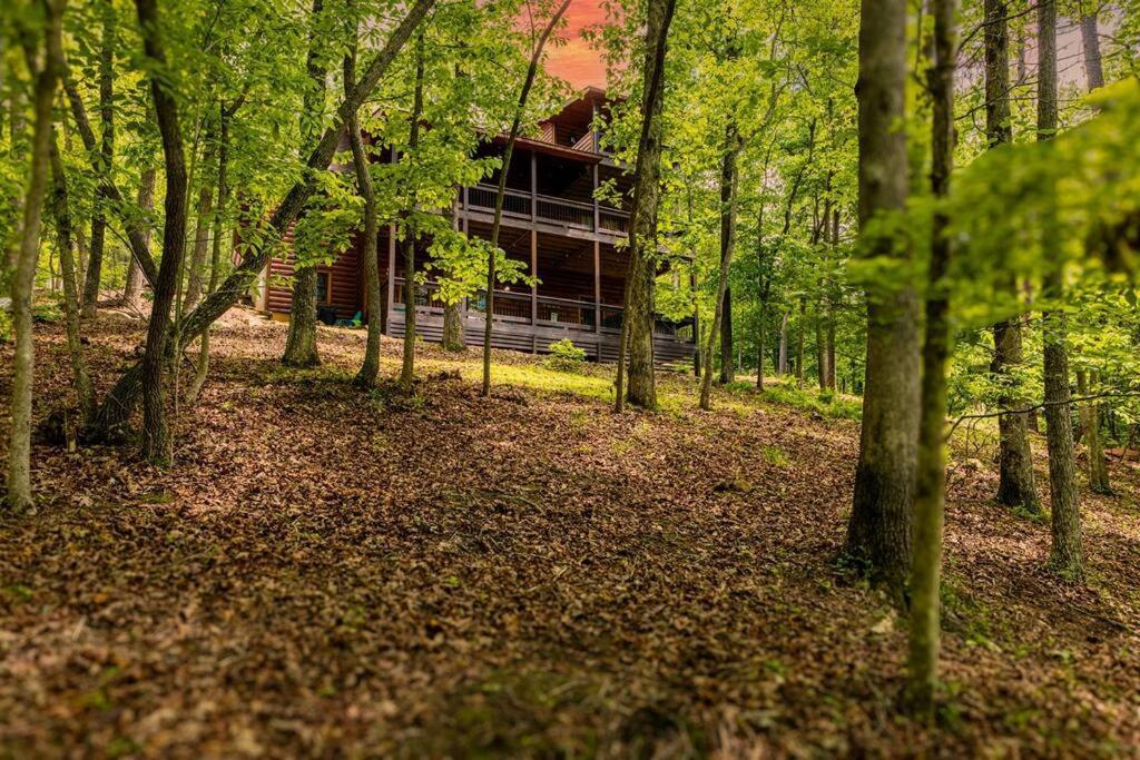 Luxe Family Cabin 8 Min To Downtown Blue Ridge Luaran gambar