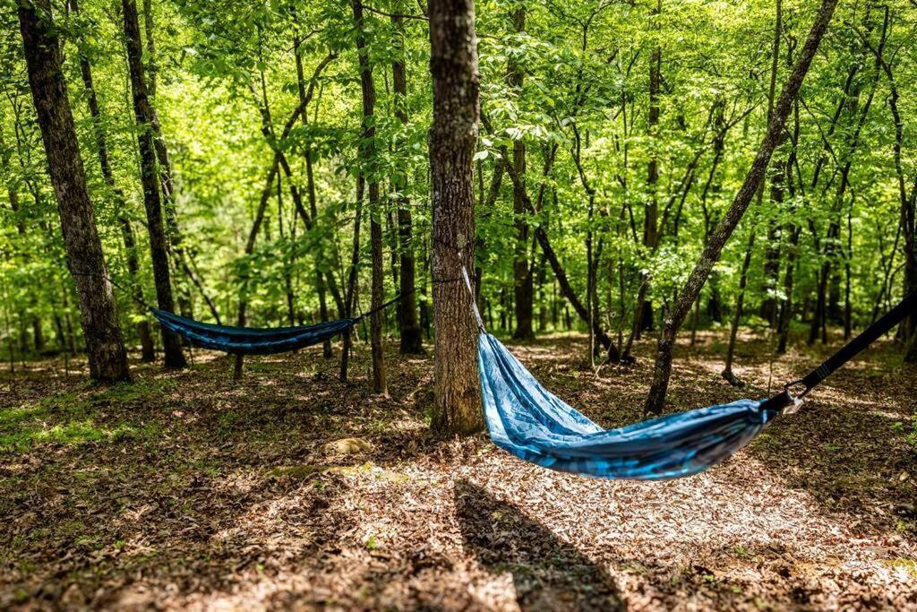 Luxe Family Cabin 8 Min To Downtown Blue Ridge Luaran gambar